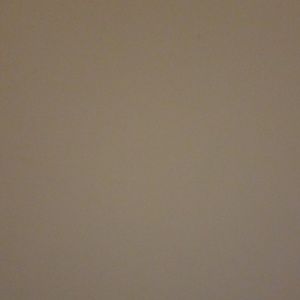 Meet your Posher, Shanika